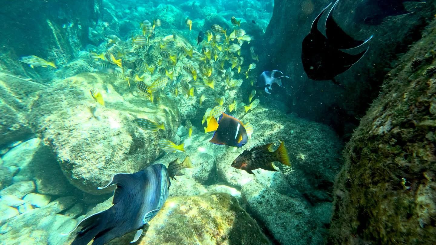 Foto Tour